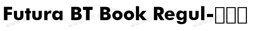 Futura BT Book Regul字体转换